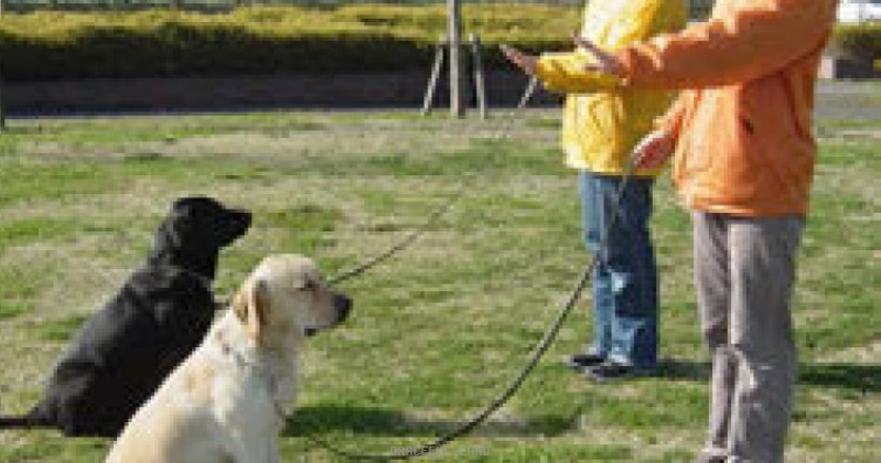 健康、良心的価格、アフターケア 健康、良心的価格、アフターケア